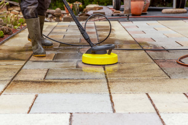 Best Boat and Dock Cleaning  in Worthgton, IN